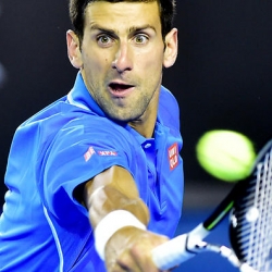 Novak Djokovic will face Andy Murray in the final.
