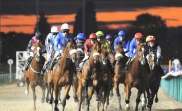 Wolverhampton Horse Racing Thursday 16 January 2014 Free Bets For Winners