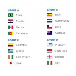 World Cup 2014 Group A D