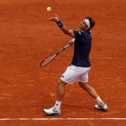David Ferrer French Open 2015