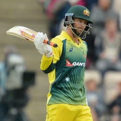 Matthew Wade Excellent batting in the 1st ODI